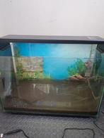 Superfish 60 home, Zo goed als nieuw, Ophalen, Leeg aquarium