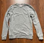 Grijze trui Revelation, S, Kleding | Dames, Ophalen of Verzenden, Zo goed als nieuw, Revelation, Maat 36 (S)