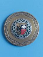 Penning R.K. midenstandsverenging, Postzegels en Munten, Penningen en Medailles, Ophalen of Verzenden, Brons, Nederland