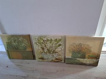 3 Schilderijtjes met plantenmotief beschikbaar voor biedingen