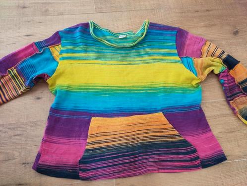 Vrolijk kleurig truitje uit India 100% katoen., Kleding | Dames, Truien en Vesten, Gedragen, Maat 36 (S), Overige kleuren, Ophalen of Verzenden