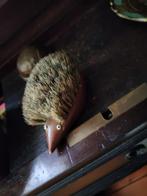 Antiek borsteltje EGEL met oogjes die je aankijken, Ophalen of Verzenden