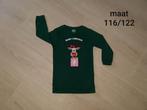 Kerst trui/jurkje 116/122, Kinderen en Baby's, Kinderkleding | Maat 116, Ophalen of Verzenden, Zo goed als nieuw, Meisje, Jurk of Rok