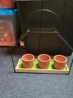 Decoratie schaal met groene steentjes & 3 waxinelicht houder, Ophalen