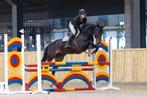 Fijne allround E-pony met voorliefde voor springen., Dieren en Toebehoren, Pony's, Merrie, L, Met stamboom, 3 tot 6 jaar