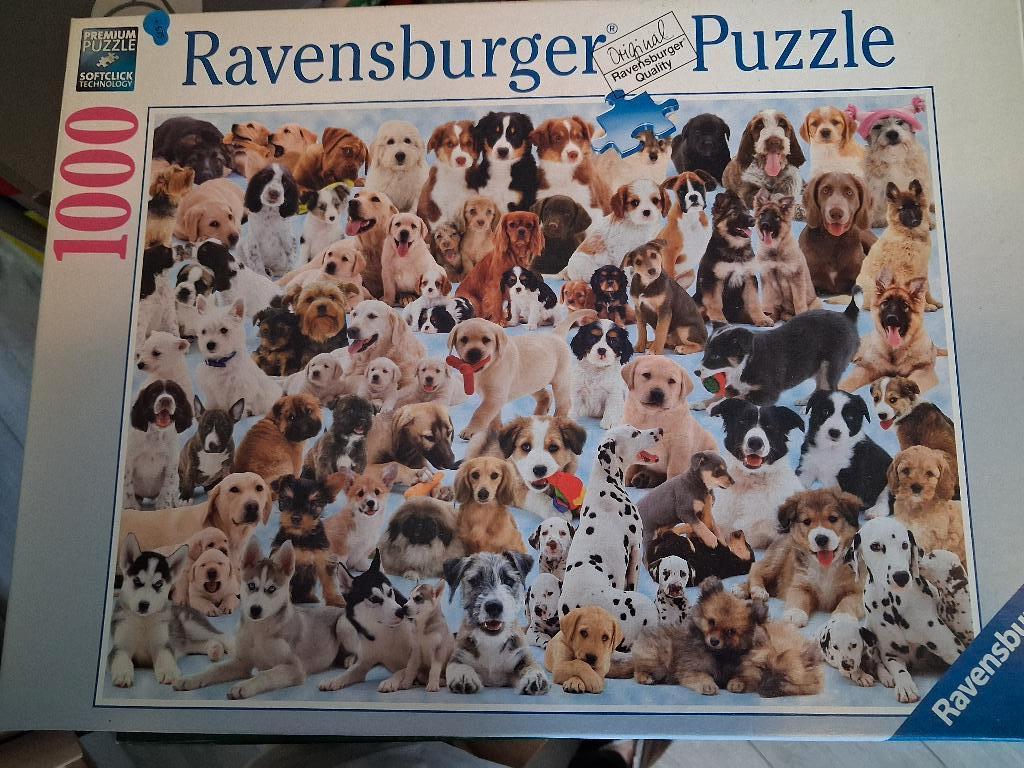 Legpuzzel 1000 stukjes, Ophalen, 500 t/m 1500 stukjes, Zo goed als nieuw, Legpuzzel