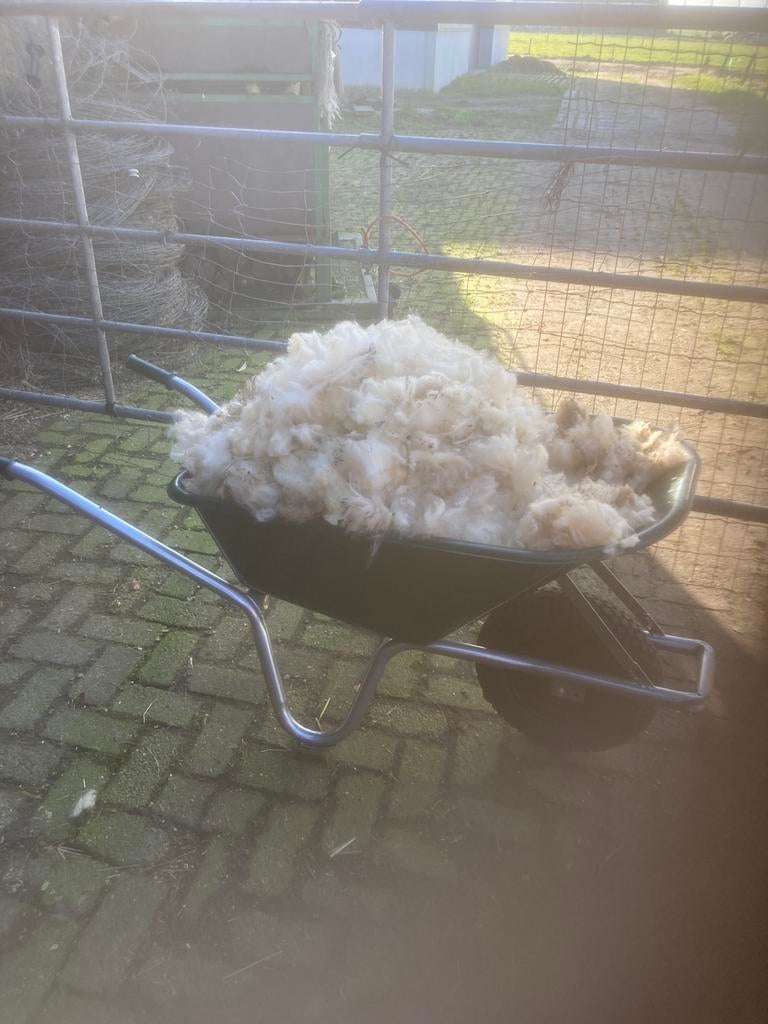 Schapenvacht schapenwol, Ophalen of Verzenden, Nieuw, Spinwol