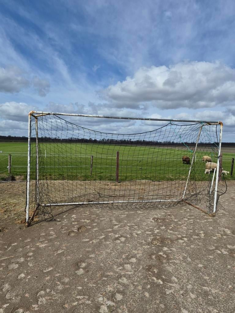 Voetbal doel, Sport en Fitness, Groter dan maat XL, Ophalen, Gebruikt, Overige typen