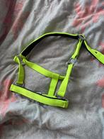 Gratis halsters, Dieren en Toebehoren, Ophalen, Gebruikt, Overige soorten