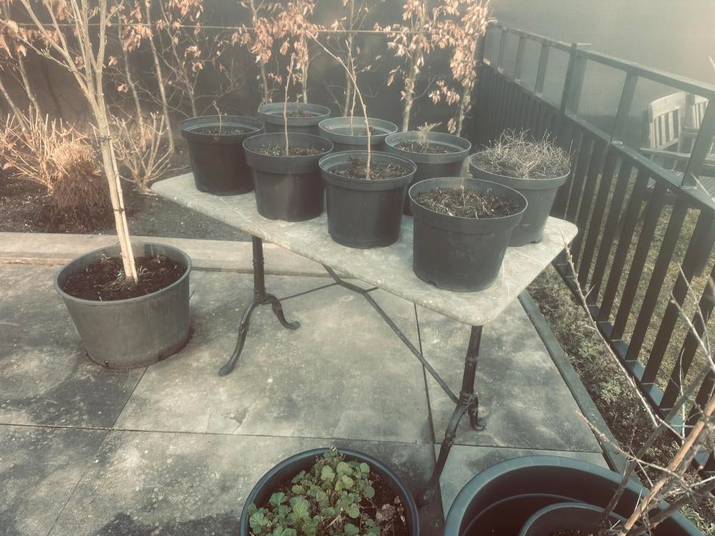 Antieke tuintafel zwart gietijzer grijs natuurstenen  blad, Tuin en Terras, Ophalen of Verzenden, Zo goed als nieuw, Overige materialen