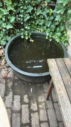 Kleine vijverbak, Tuin en Terras, Ophalen of Verzenden, Zo goed als nieuw, Beton, Overige typen