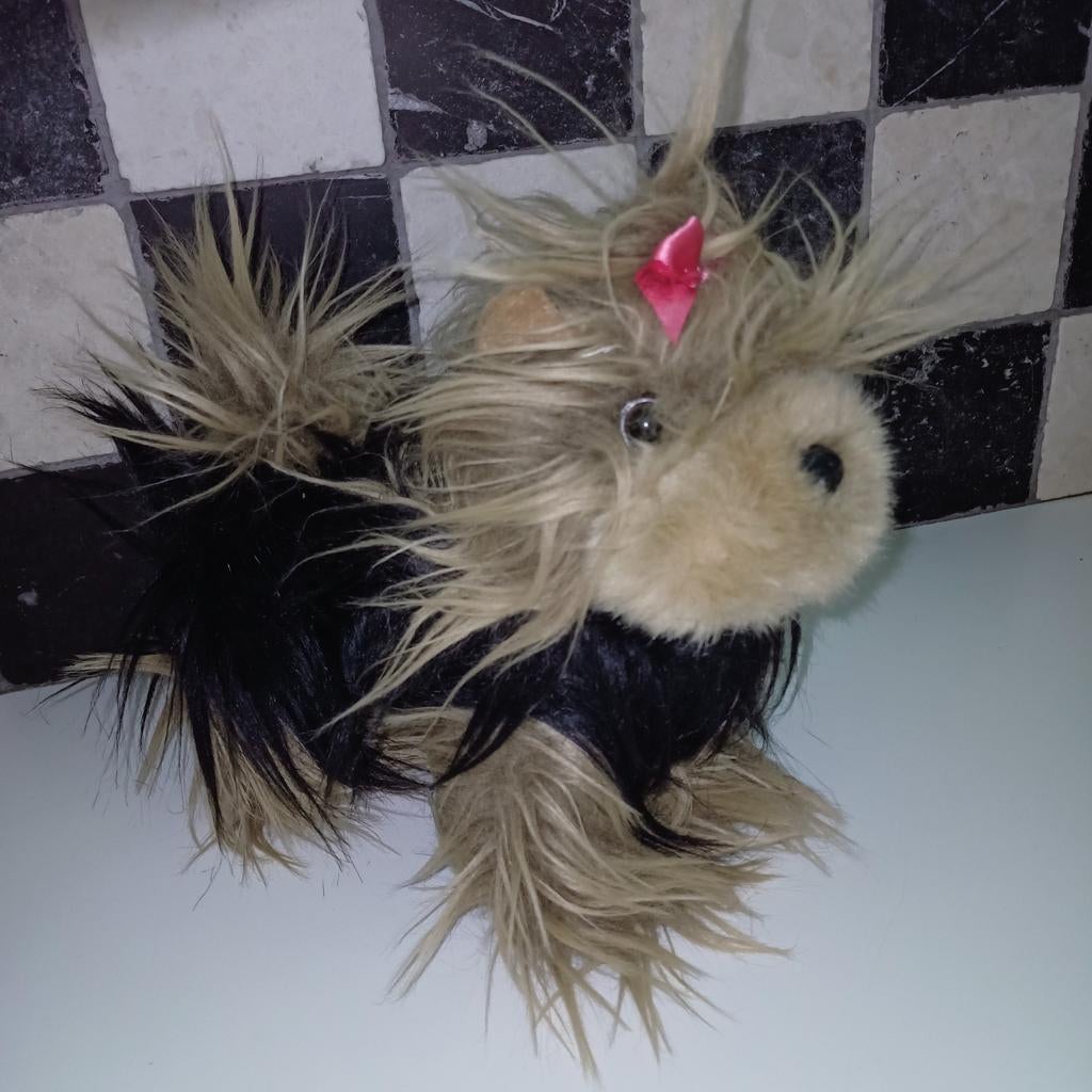 Yorkshire terrier, battat., Zo goed als nieuw, Wasbaar, Middelgroot (20 tot 80 cm), Hond