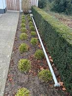 Vlaggenmast, Ophalen of Verzenden, Zo goed als nieuw