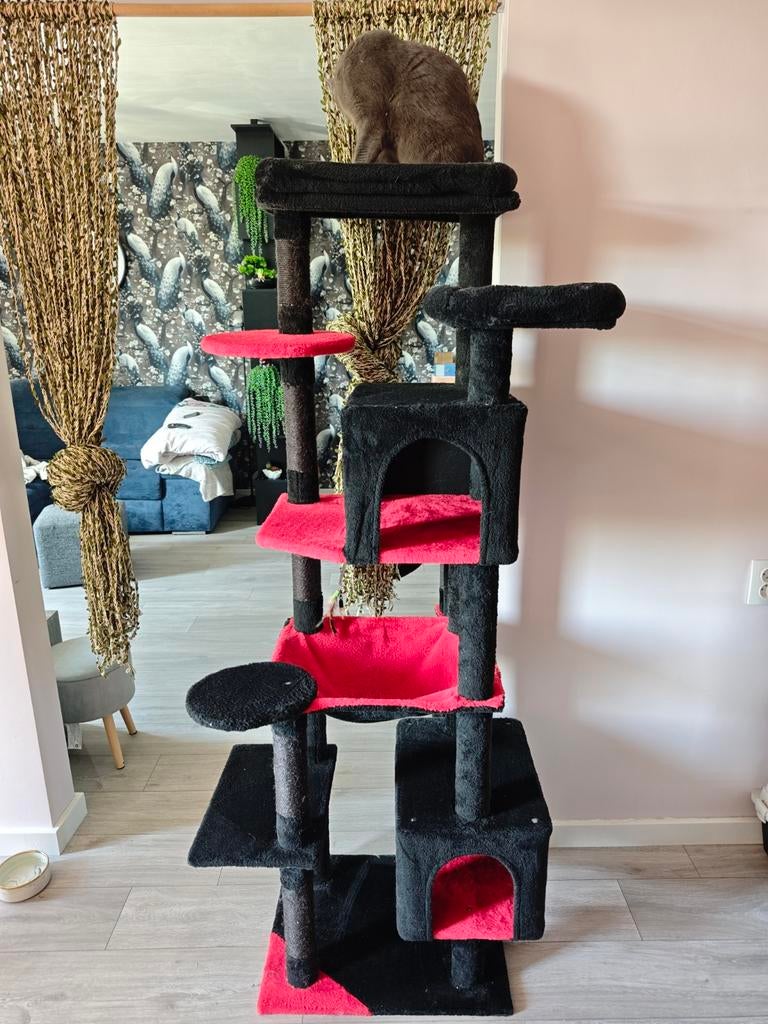 Halloween themed cat tree 175 cm, Ophalen, Gebruikt, Krabpaal