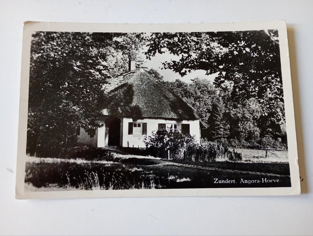 Zundert Angora Hoeve 1962, Ophalen of Verzenden, 1960 tot 1980, Gelopen, Noord-Brabant
