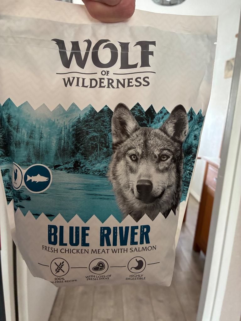 Wolf of wildernis brokken zalm, Ophalen, Hond