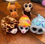 5 kleine TY knuffels, Ophalen of Verzenden, Zo goed als nieuw, Overige typen