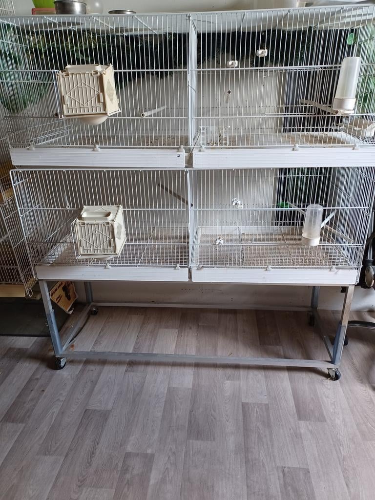 Xl broed toren zgan met nestkastjes en voertrog, Dieren en Toebehoren, Ophalen of Verzenden, Zo goed als nieuw, Hout, Broedkooi of Kweekkooi