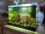 Dennerle nano tank / aquarium 35L, Ophalen, Zo goed als nieuw, Leeg aquarium
