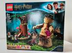 Lego Harry Potter Verboden Bos: Omber's Ontmoeting, Ophalen of Verzenden