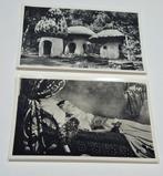 Natuurpark De Efteling Kaatsheuvel ansichtkaarten, Ophalen of Verzenden, Overige typen