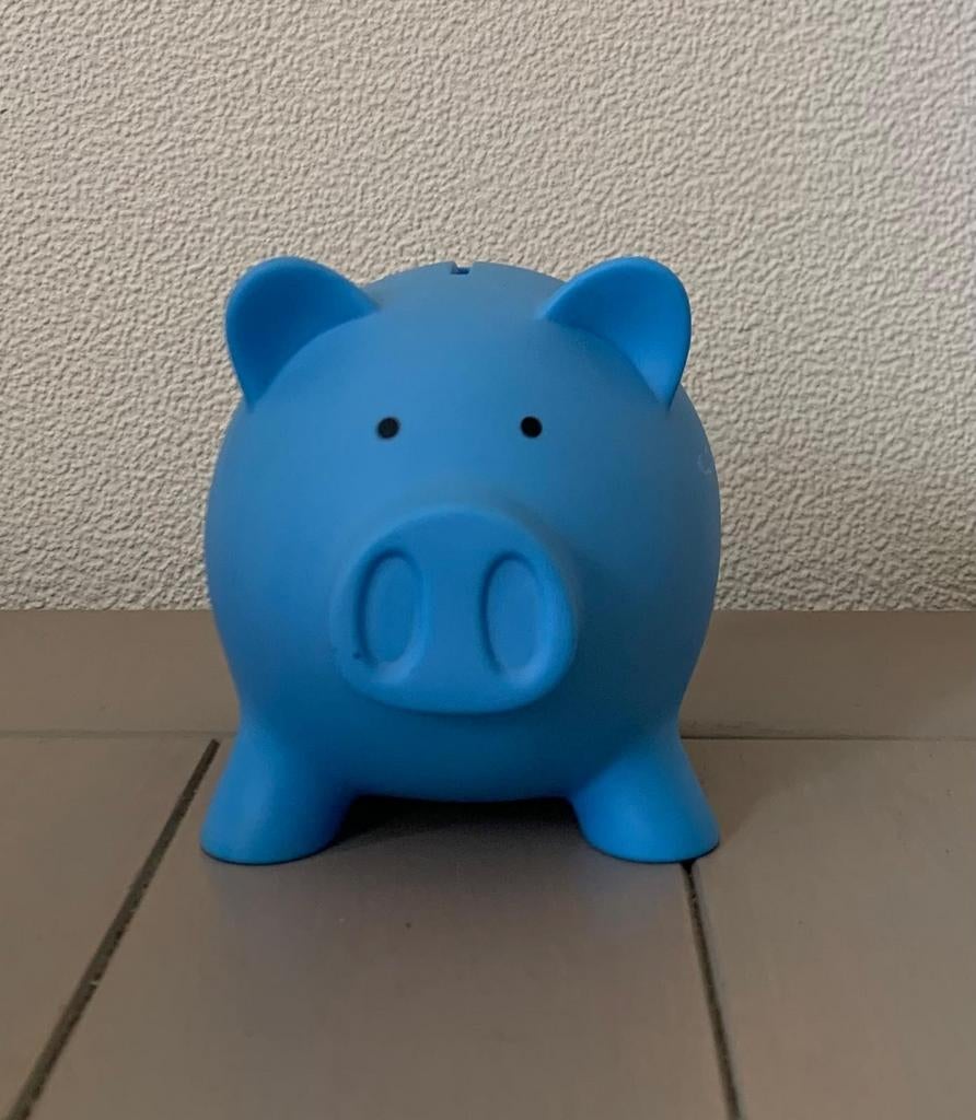 Spaarpot varken blauw, Ophalen of Verzenden, Zo goed als nieuw, Kunststof, Dier