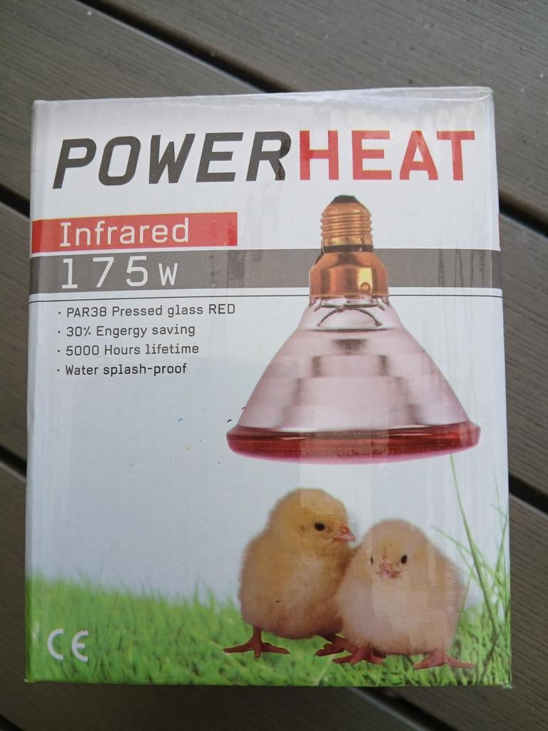 Infrarood dieren, Dieren en Toebehoren, Vogels | Duiven