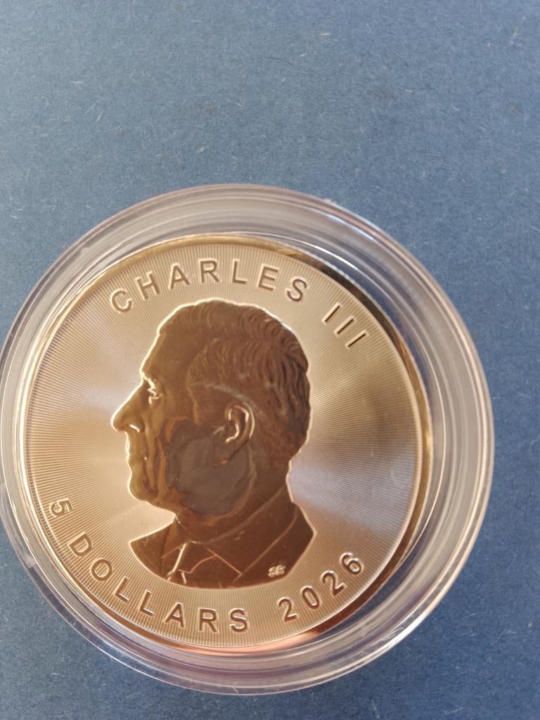 Maple Leaf 2026 1 oz zilver, Ophalen of Verzenden, Zilver