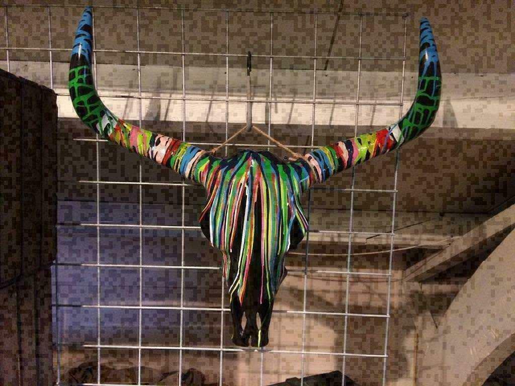 Buffelschedel , Skull gekleurd , grote aantallen op, Ophalen of Verzenden