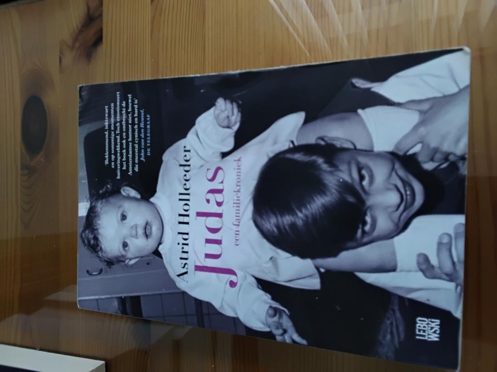 Astrid Holleeder, Judas een familiekroniek, Ophalen of Verzenden, Overige