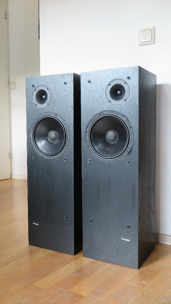 Translator Impact 30, Gebruikt, Minder dan 60 watt, Front, Rear of Stereo speakers, Ophalen