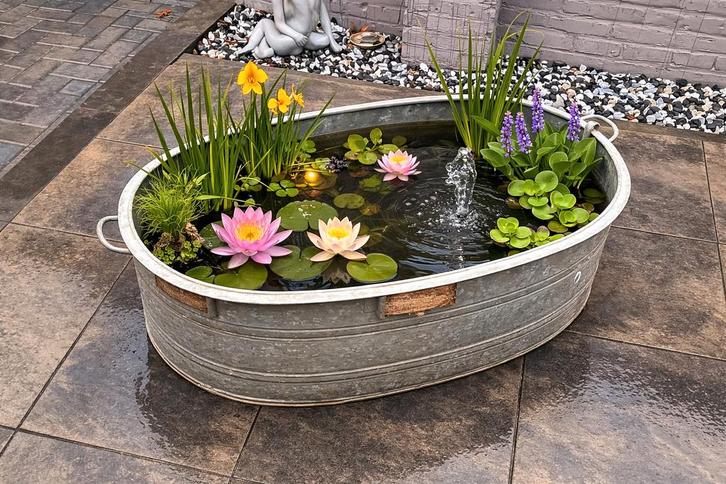 Grote zinken teil / kuip – decoratie, bloembak of vijver, Tuin en Terras, Bloembakken en Plantenbakken, Gebruikt, Metaal, 60 tot 100 cm