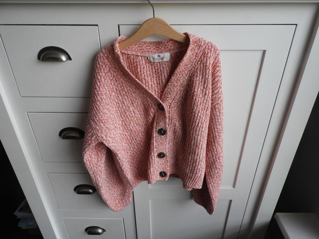 Meisjes vest. Maat 146, Kinderen en Baby's, Kinderkleding | Maat 146, Meisje, Trui of Vest, H&M, Ophalen of Verzenden