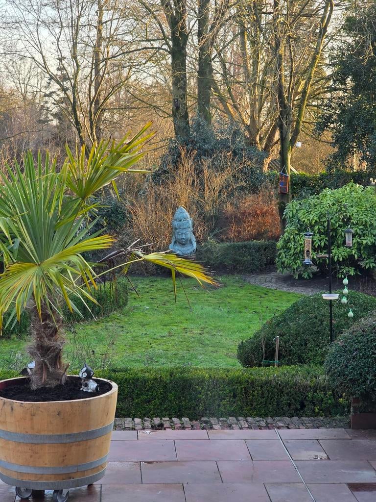 Tuinman of tuinvrouw liefhebber met groene vingers, Diensten en Vakmensen, Tuinmannen en Stratenmakers, Tuinonderhoud of Snoeiwerk
