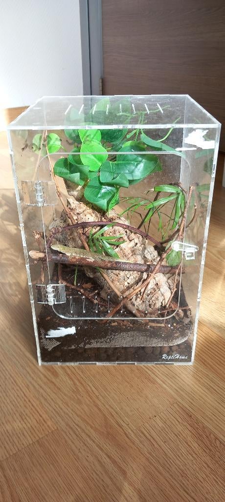 Ingericht bioactief Acryl Terrarium 20-20-30, Dieren en Toebehoren, Ophalen, Nieuw, Terrarium of Paludarium