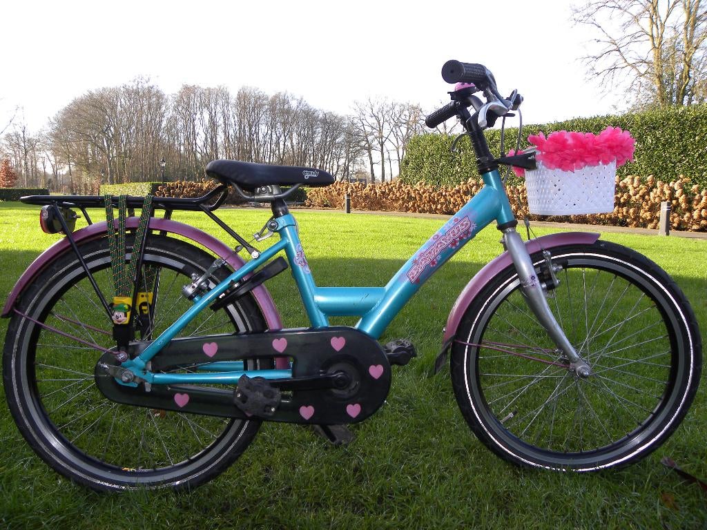 mooie 20'' batavus koala, Fietsen en Brommers, Ophalen, Gebruikt, Batavus, Handrem