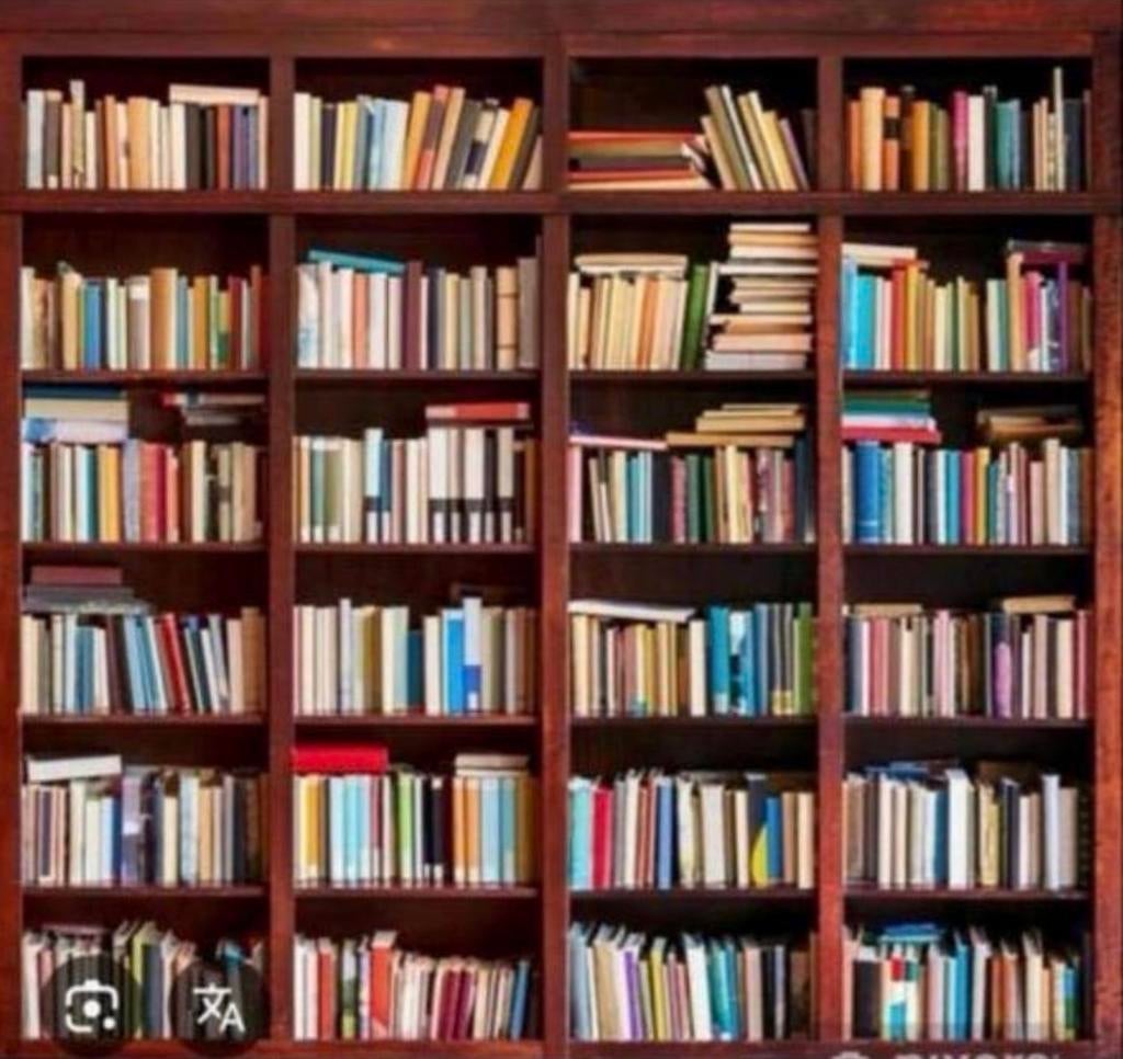 Gezocht: (partij) boeken, Boeken, Partijen en Verzamelingen, Ophalen, Gelezen
