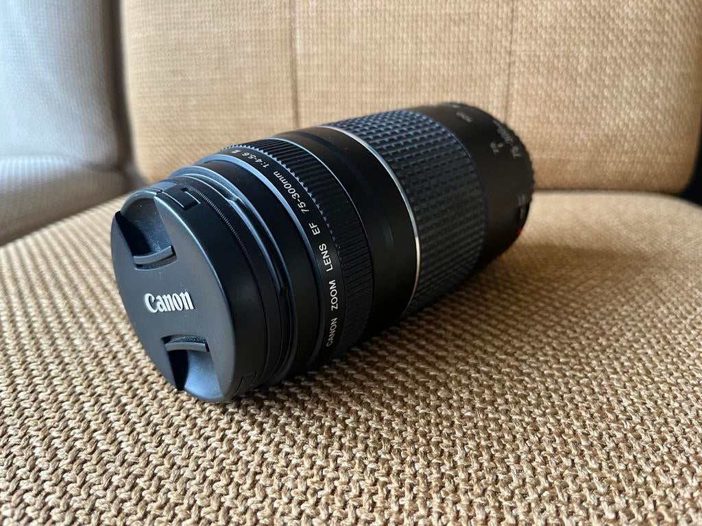 Canon EF 75-300mm f/4.0-5.6 III objectief, Ophalen, Zo goed als nieuw, Telelens