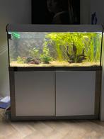 Compleet aquarium 280 l incl. toebehoren, Ophalen