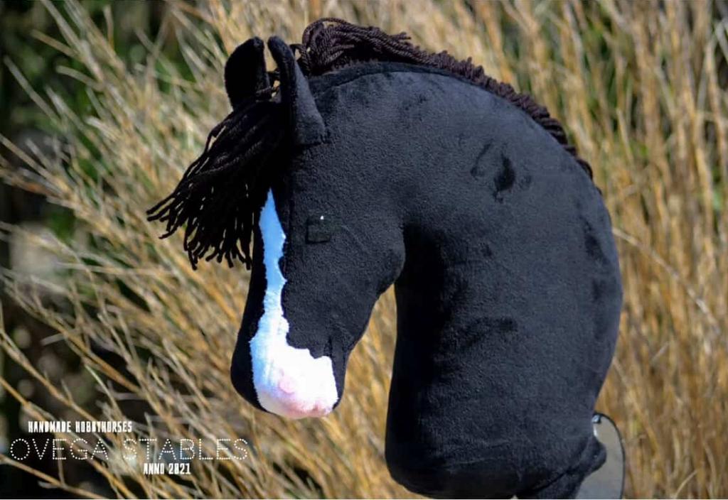 Ovega hobbyhorse, Kinderen en Baby's, Speelgoed | Hobbelfiguren, Ophalen of Verzenden, Zo goed als nieuw