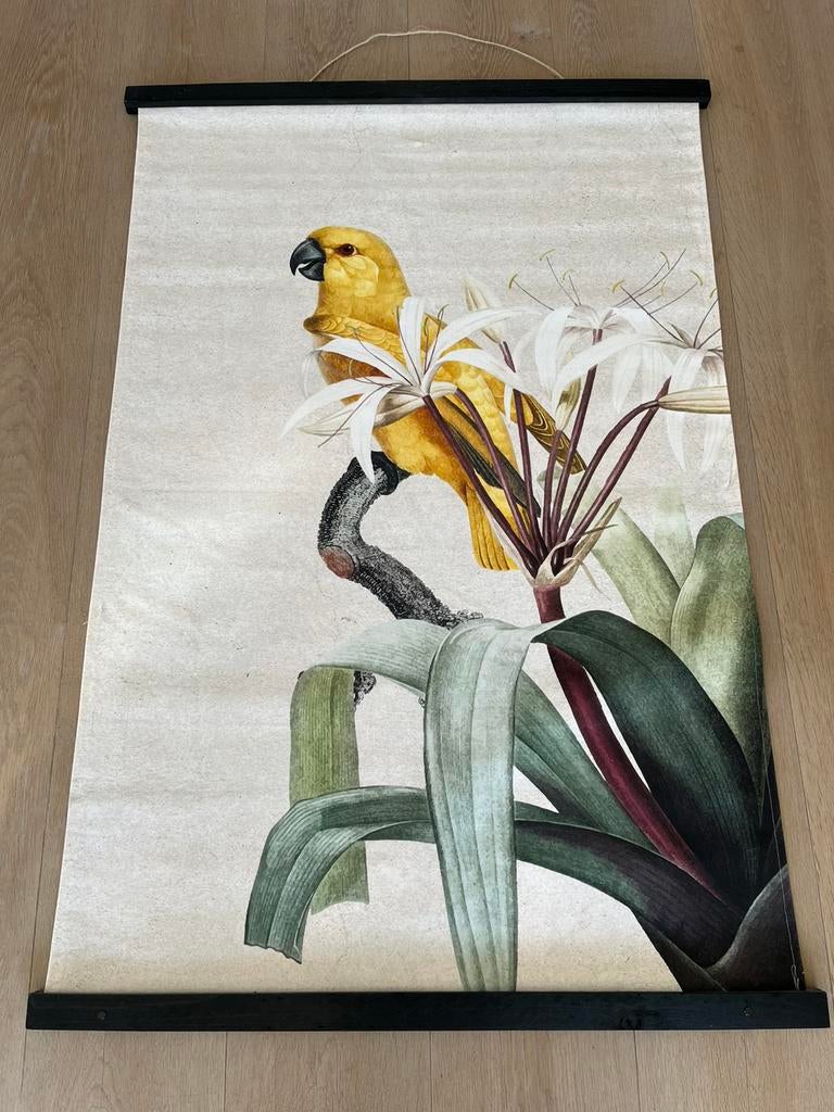 Groot wandkleed met papegaai, Ophalen, Zo goed als nieuw, Minder dan 50 cm