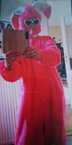 Paashaaspak of kuiken huren 13,50 en 17,50, Ophalen, Zo goed als nieuw