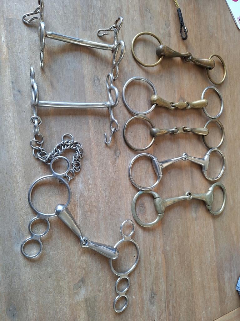Te koop diverse bitten, Ophalen of Verzenden, Overige soorten