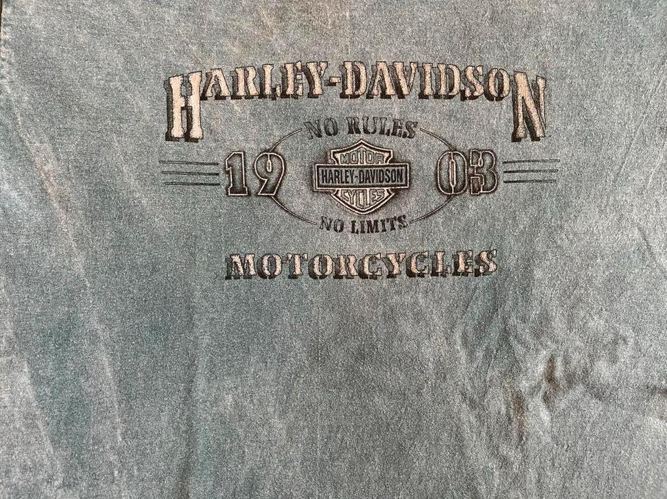 Vintage Harley-Davidson T-shirt Amsterdam, Ophalen of Verzenden, Zo goed als nieuw, Maat 52/54 (L), Overige kleuren