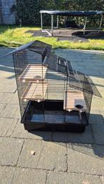 Leuke hamsterkooi, Kooi, Minder dan 75 cm, Hamster, Ophalen