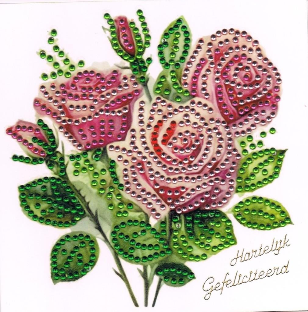 diamant painting, Ophalen of Verzenden, Nieuw, Natuur