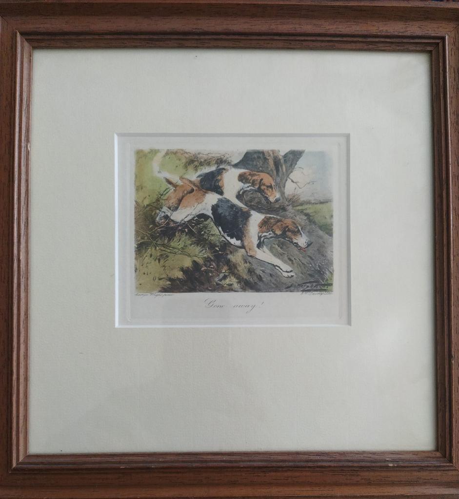 2 Prachtige Gravures: Jachthonden - 'Gone Away!', Ophalen of Verzenden