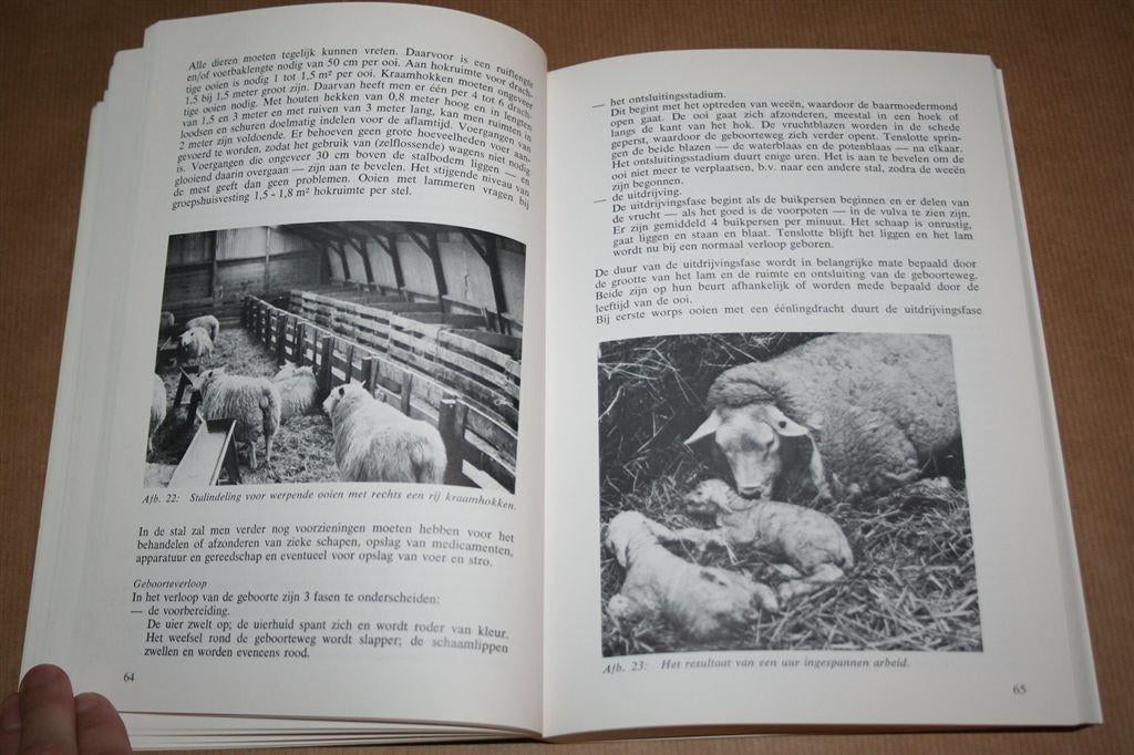 Schapenteelt en -ziekten — Groene Reeks — 1978, Ophalen of Verzenden, Gelezen