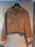 Kort bruin jasje met teddy voering - JO. & CO SPORTS, Bruin, JO. & CO SPORTS, Maat 42/44 (L), Ophalen of Verzenden