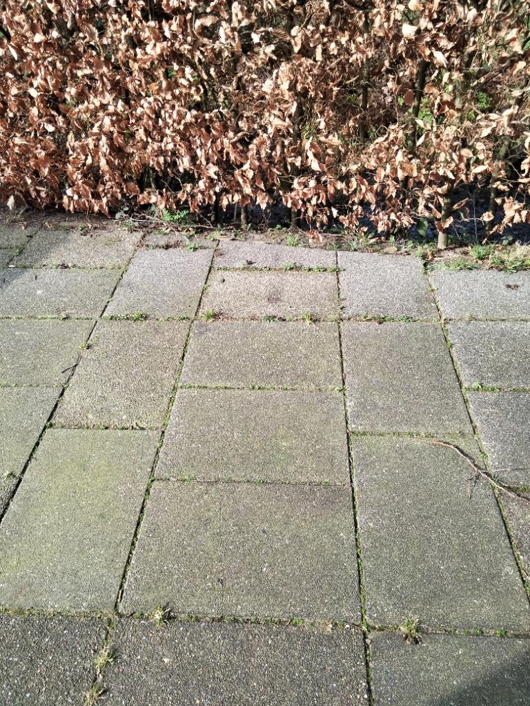 Gratis tegels, Tuin en Terras, Tegels en Klinkers, Ophalen, Gebruikt, 10 m² of meer, Beton